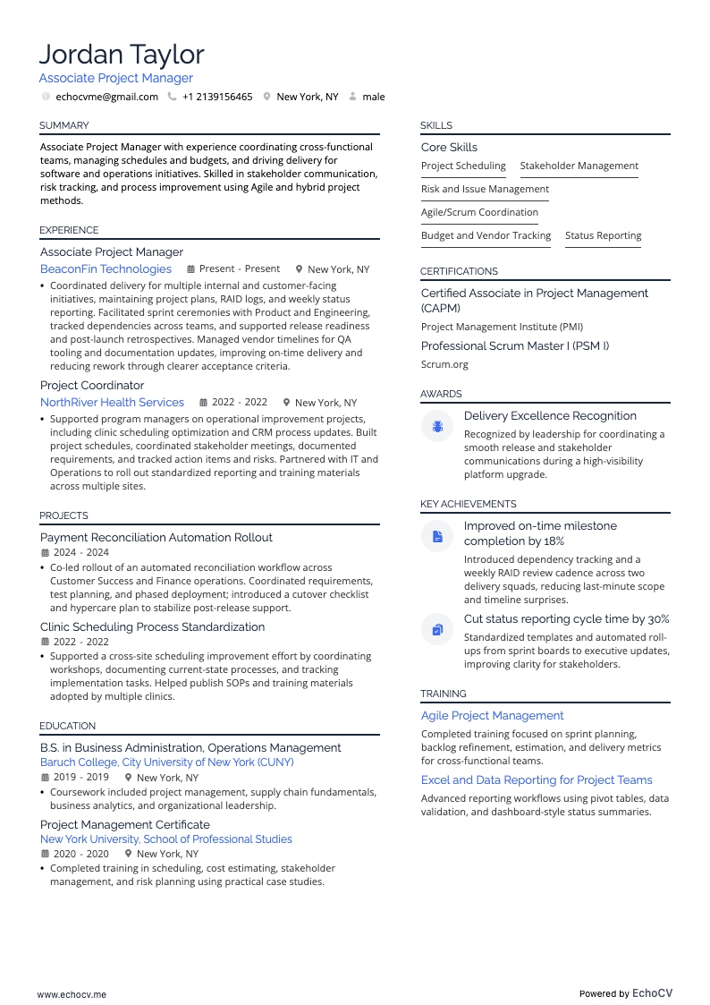 Associate Projectmanager example resume