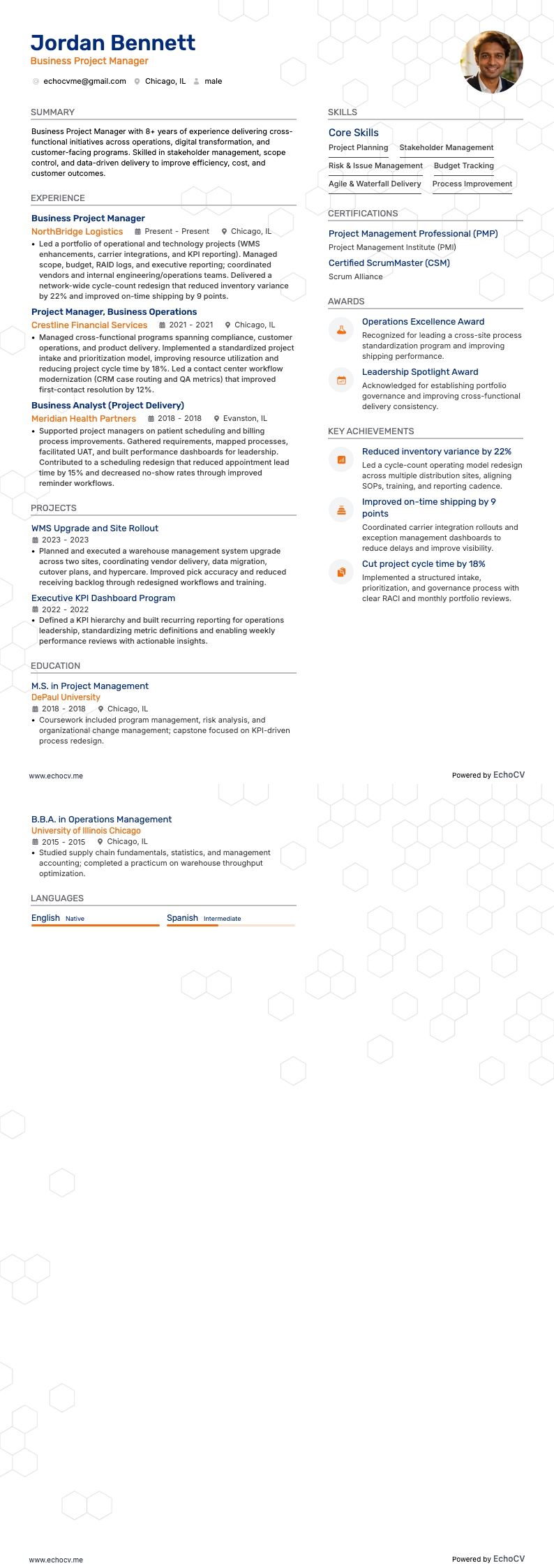 Businessprojectmanager example resume