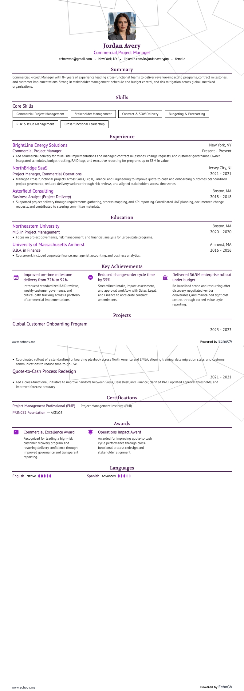 Commercieel projectmanager example resume