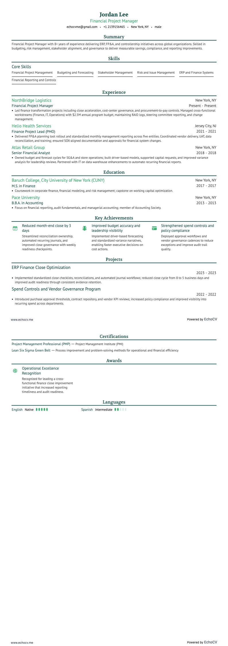 Financieel projectmanager example resume