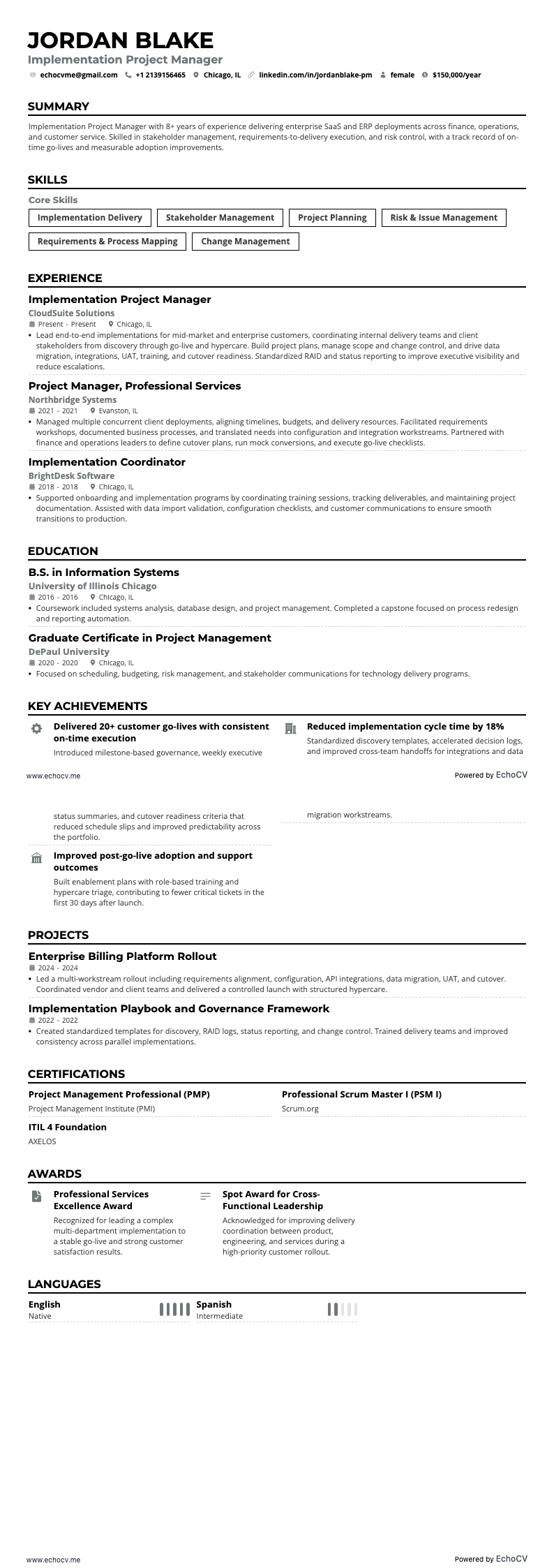 Projectmanager Implementatie example resume