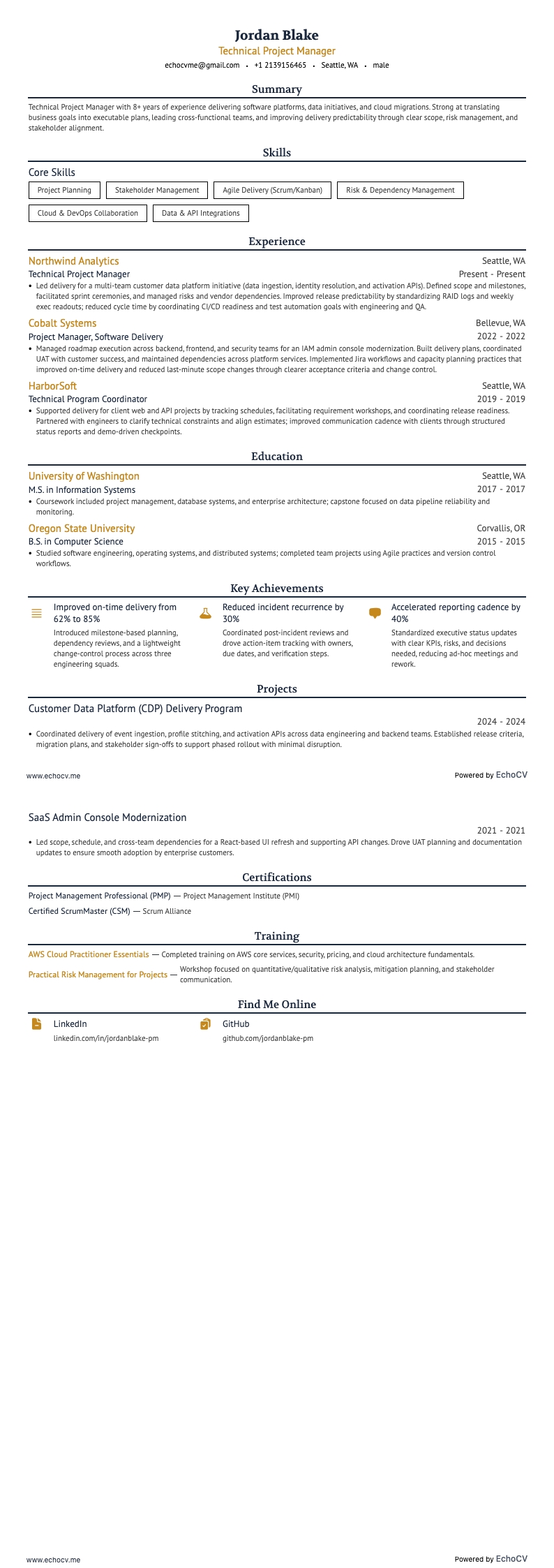 Technisch projectmanager example resume