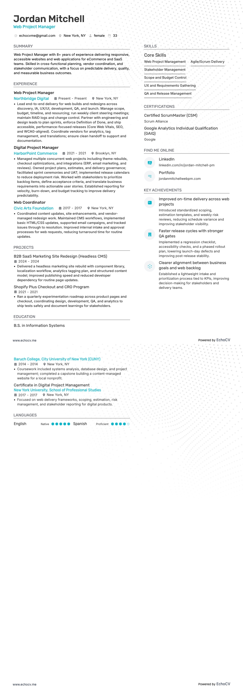 Webprojectmanager example resume