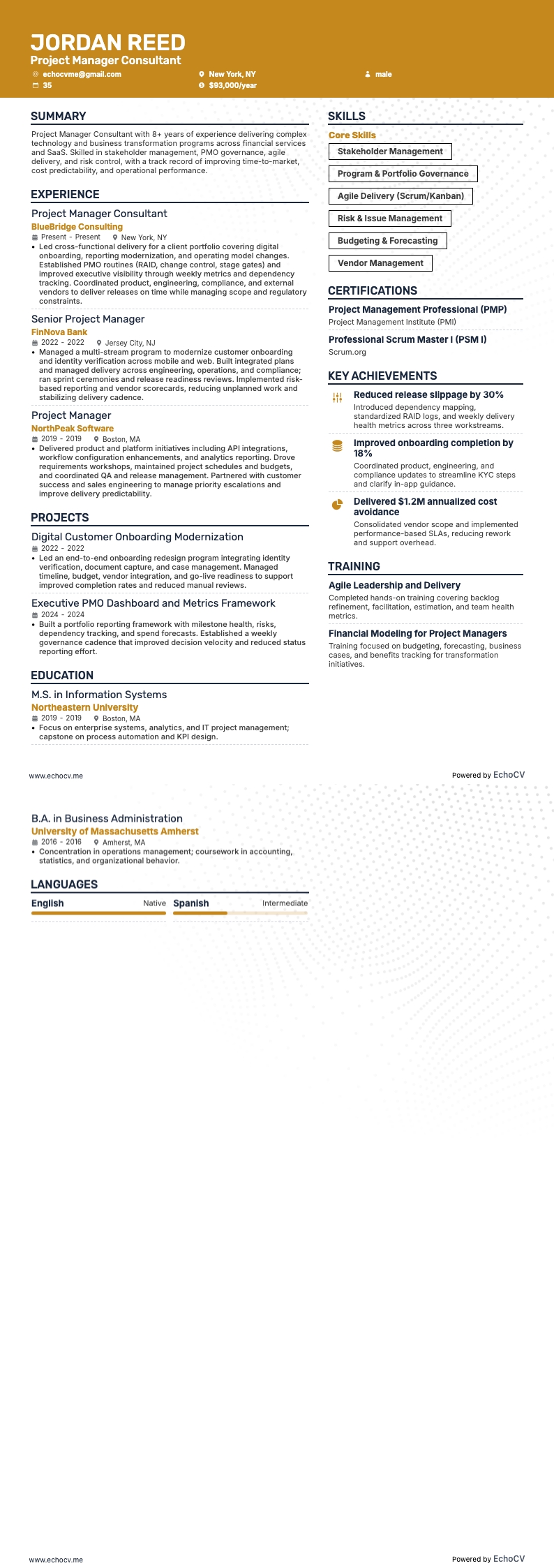Projectmanager Consultant example resume