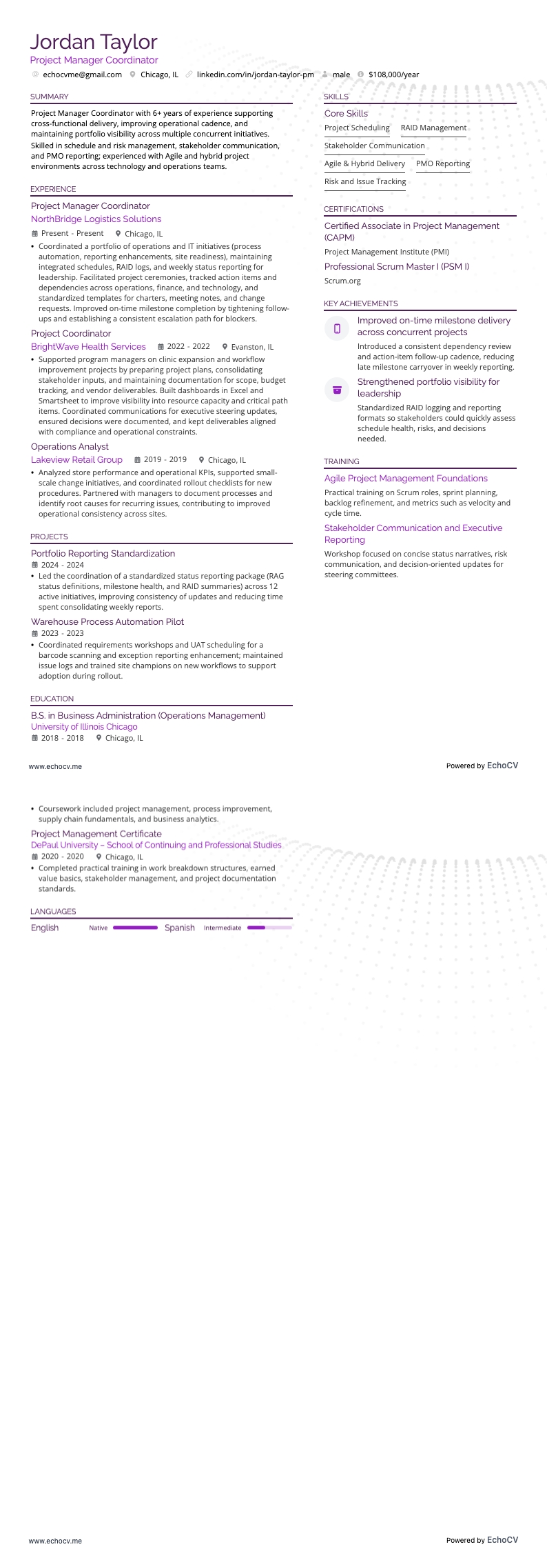 Projectmanagercoördinator example resume