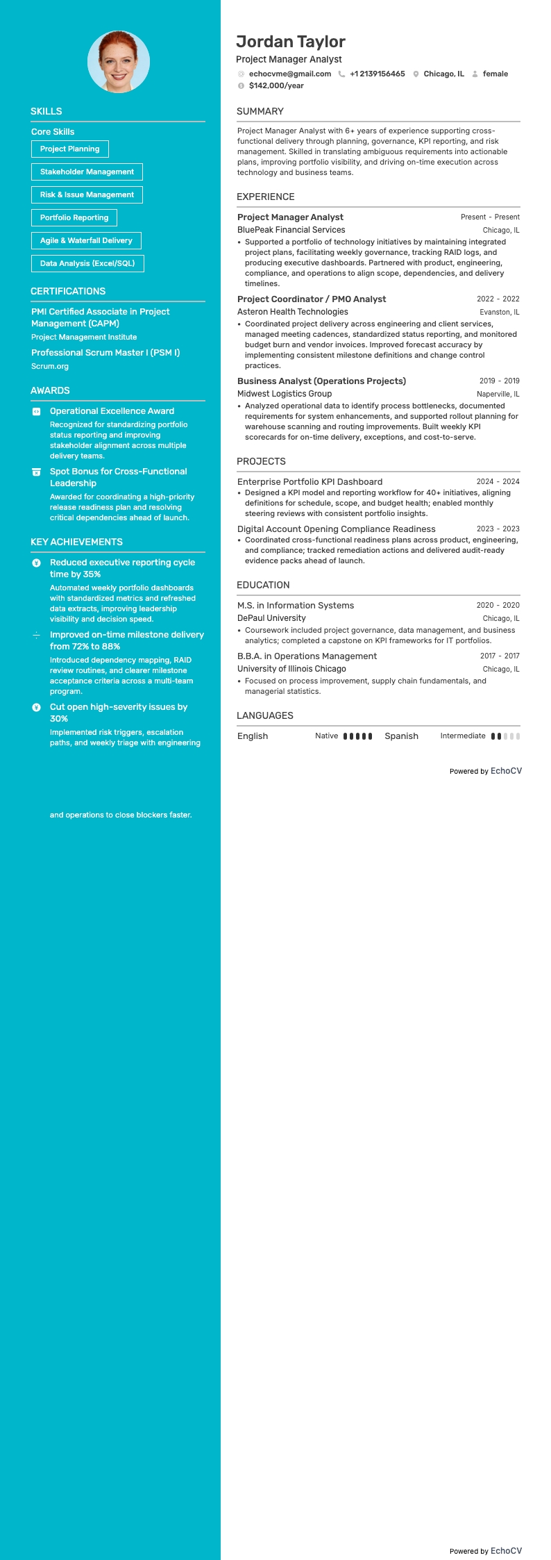 Projectmanager-analist example resume