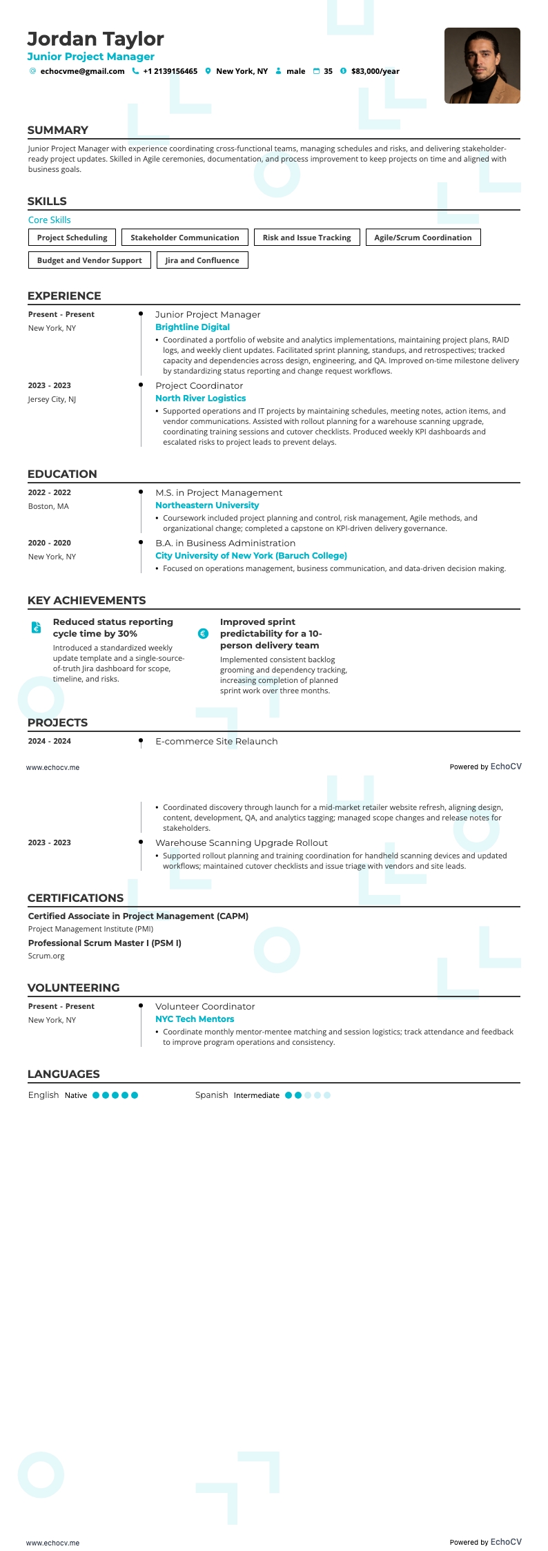 Junior projectmanager example resume