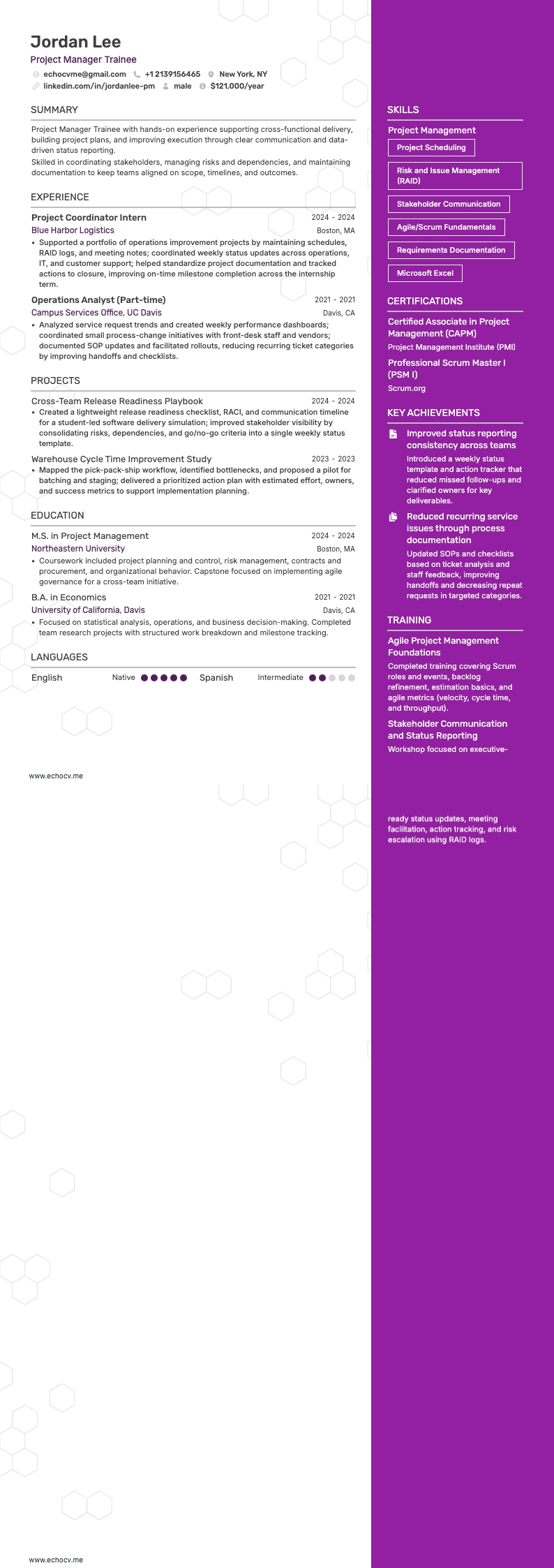 Trainee projectmanager example resume