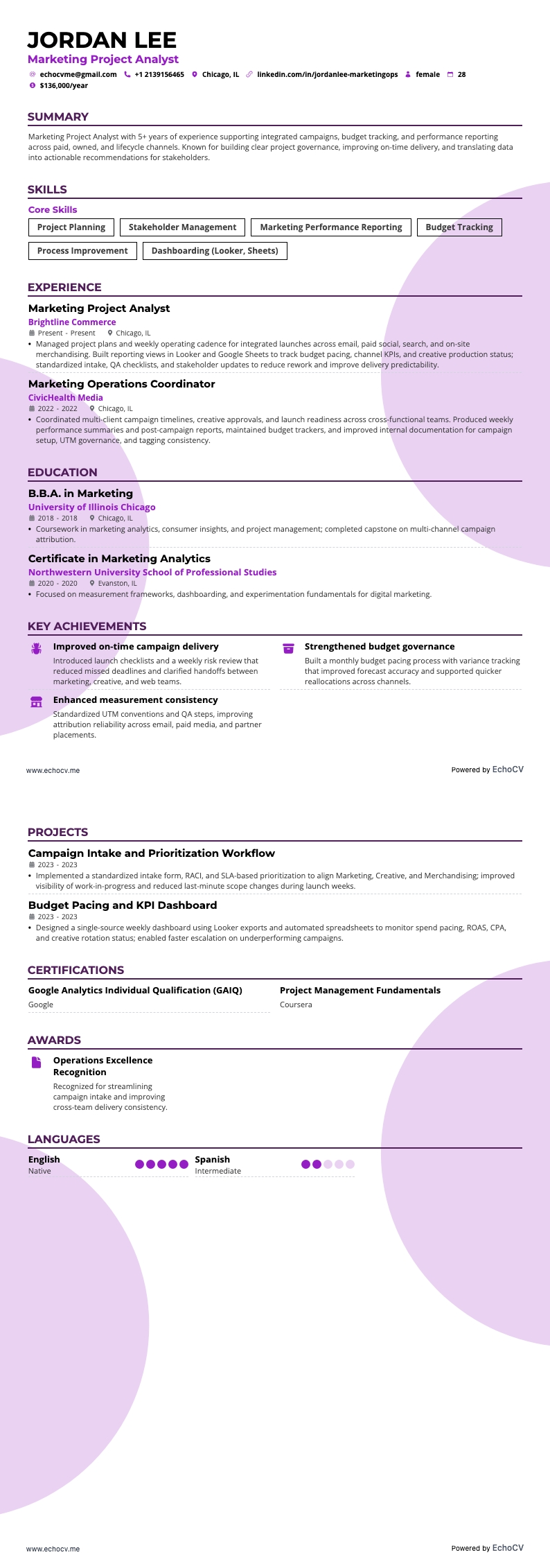 Marknadsföringsprojektanalytiker example resume