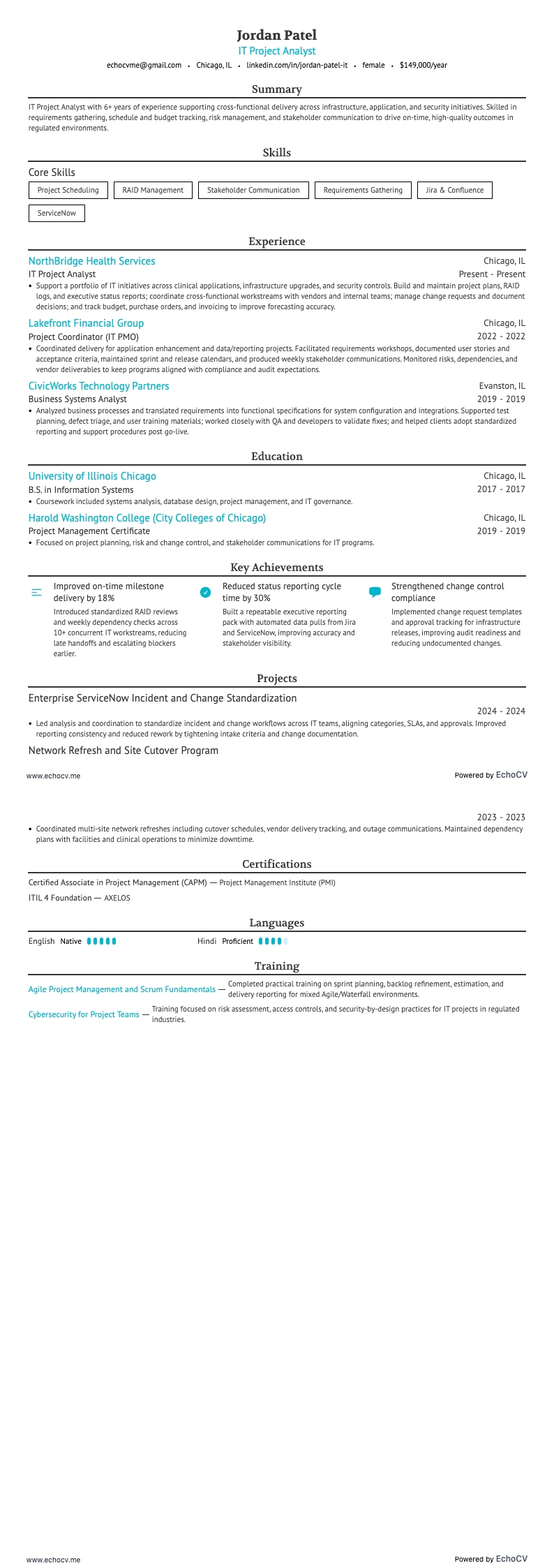 IT-projektanalytiker example resume