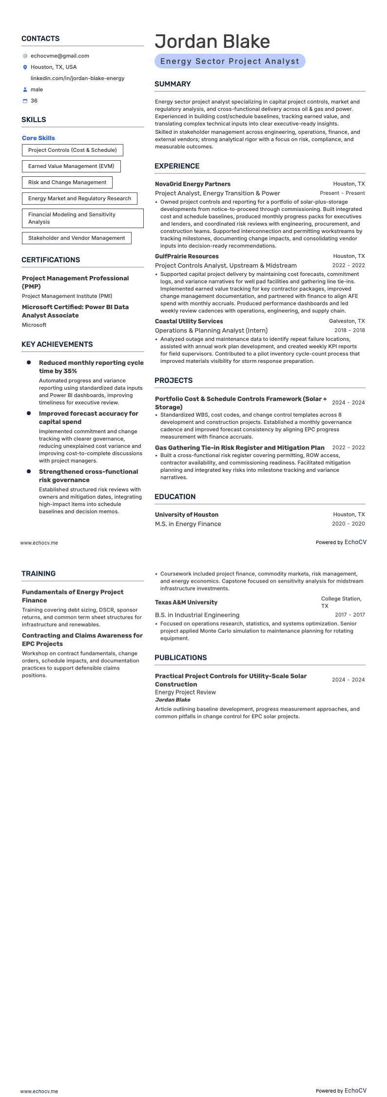Projektanalytiker resume example