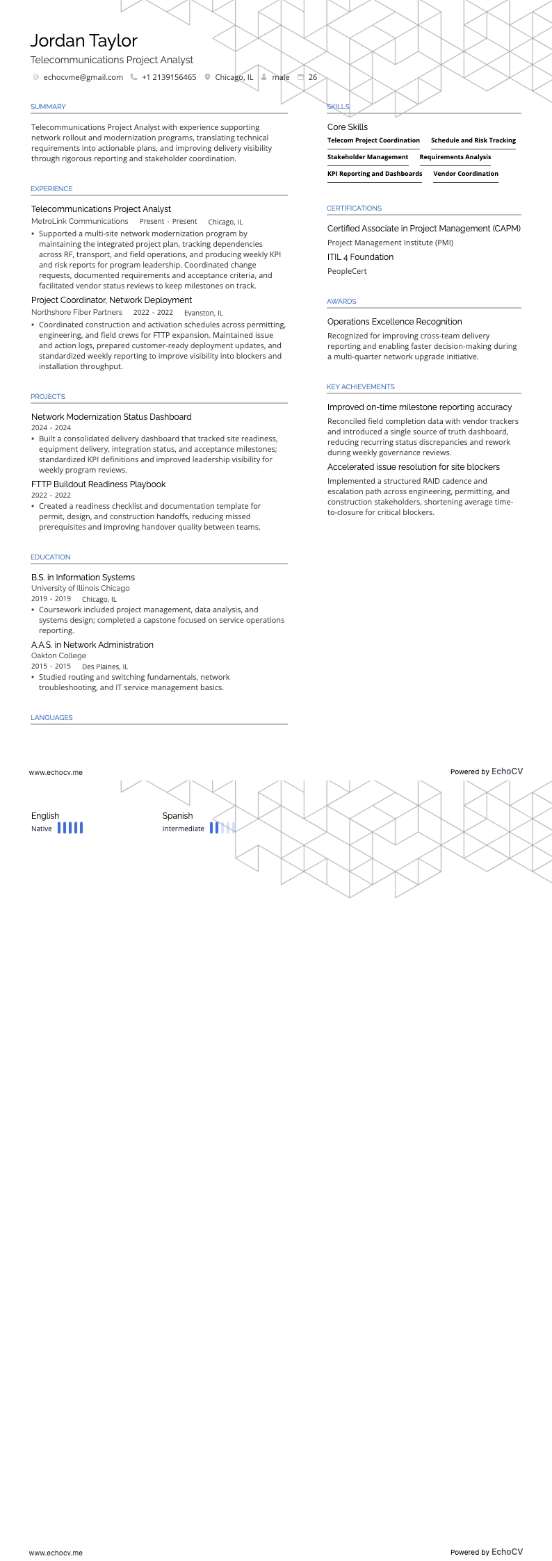 Projektanalytiker inom telekommunikation example resume