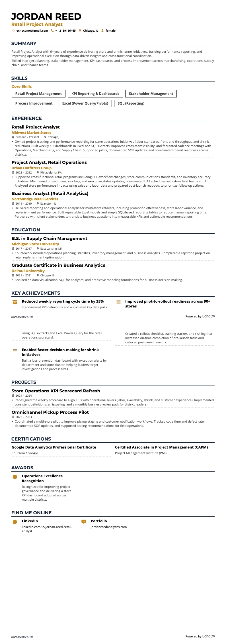 Analista de Projetos resume example