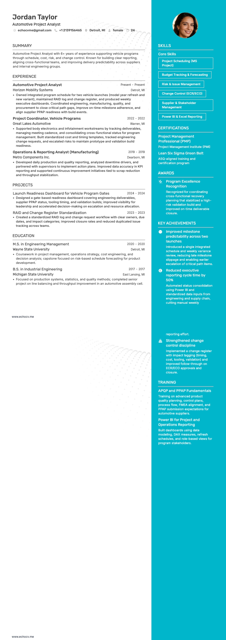 Projektanalytiker inom fordonsindustrin example resume