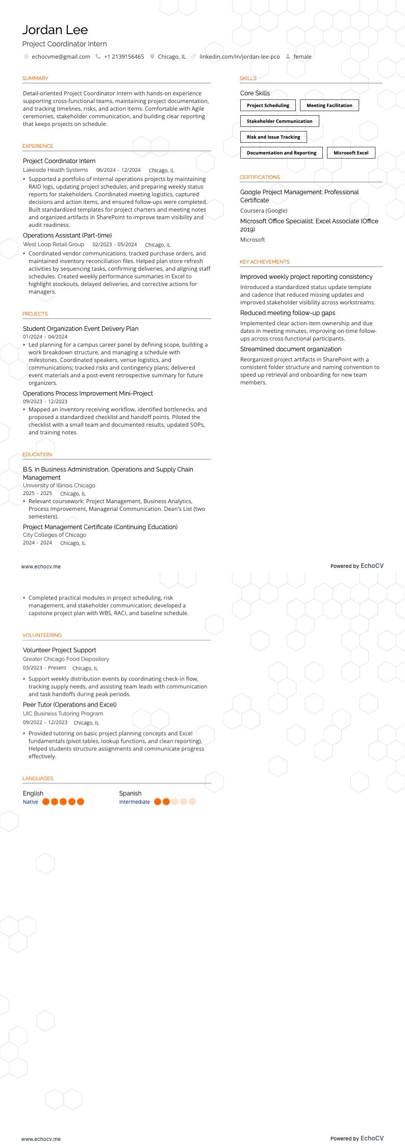 Project Coordinator Intern example resume