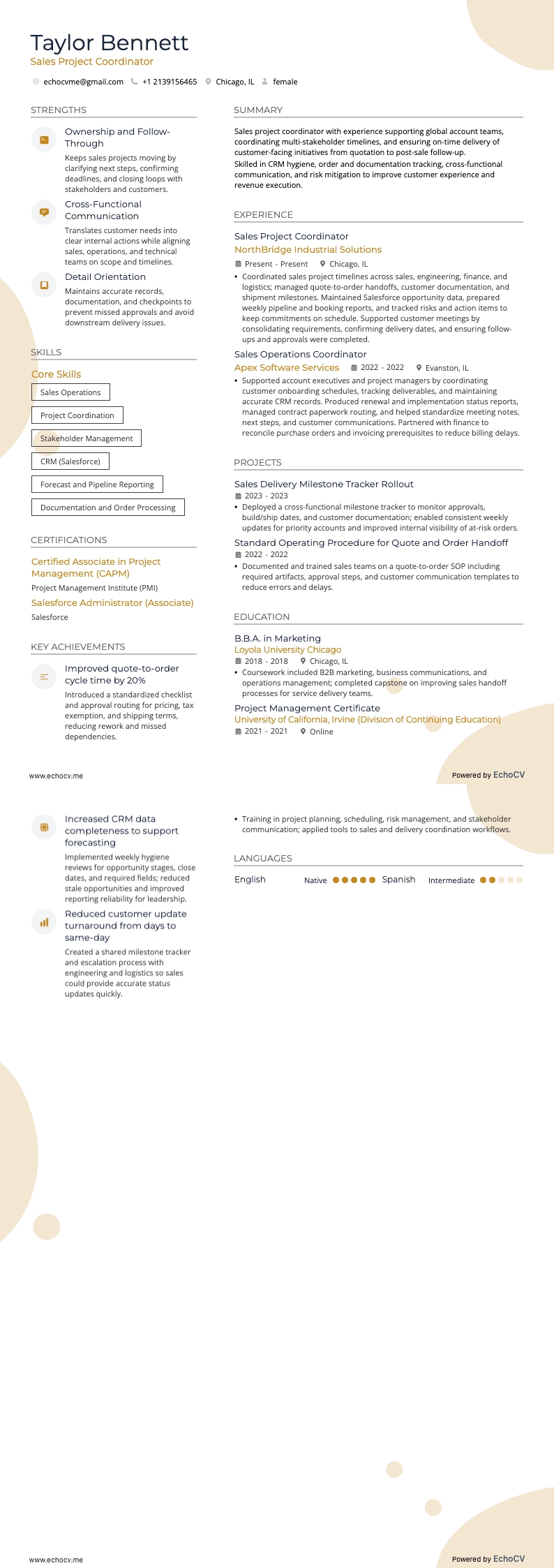 Sales Project Coordinator example resume