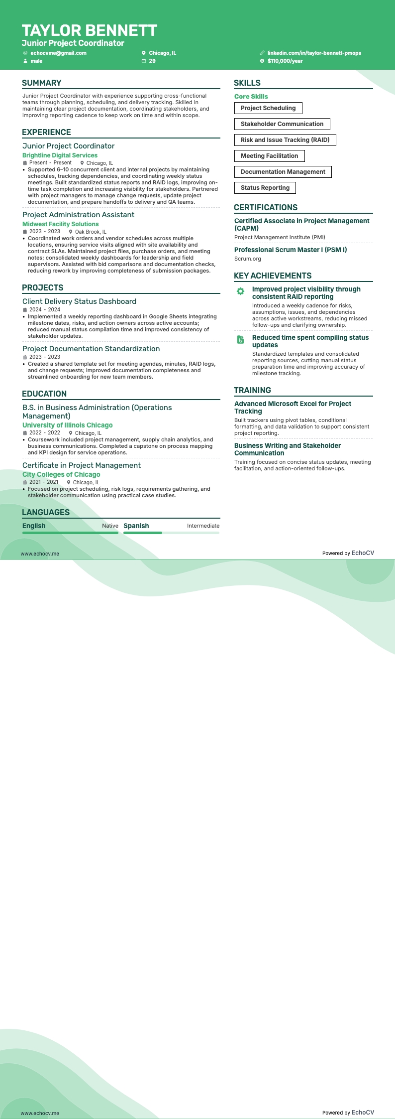 Junior Project Coordinator example resume