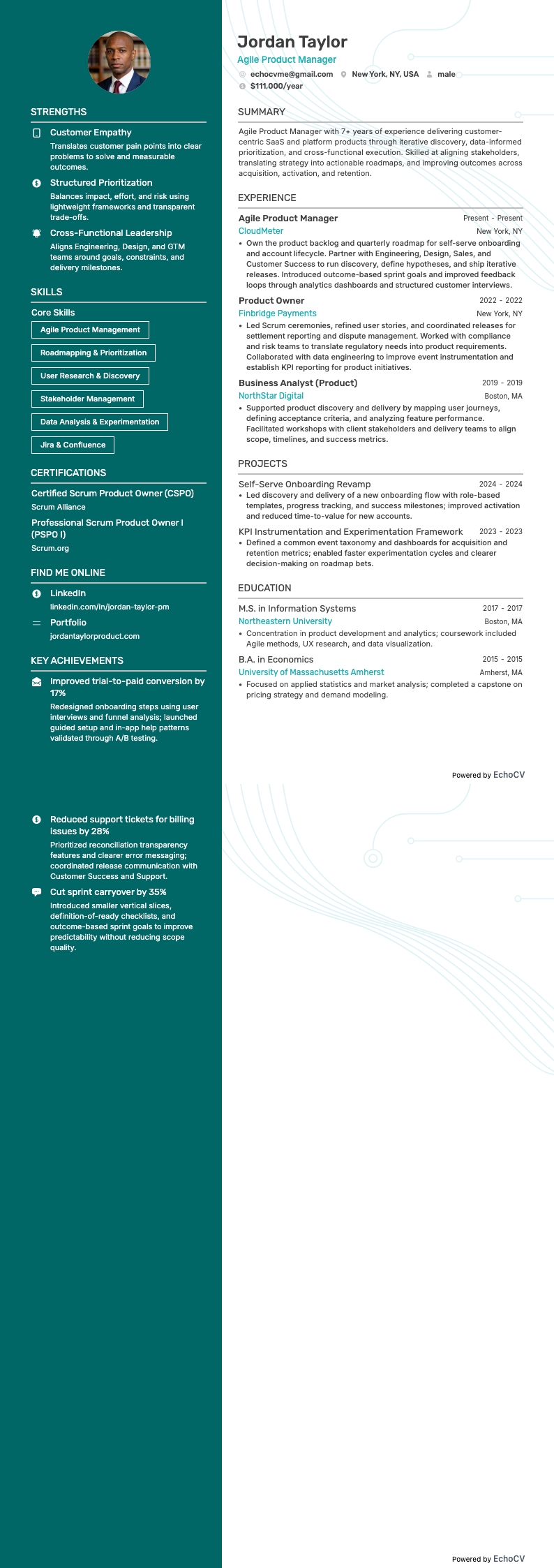 Agile Product Manager example resume