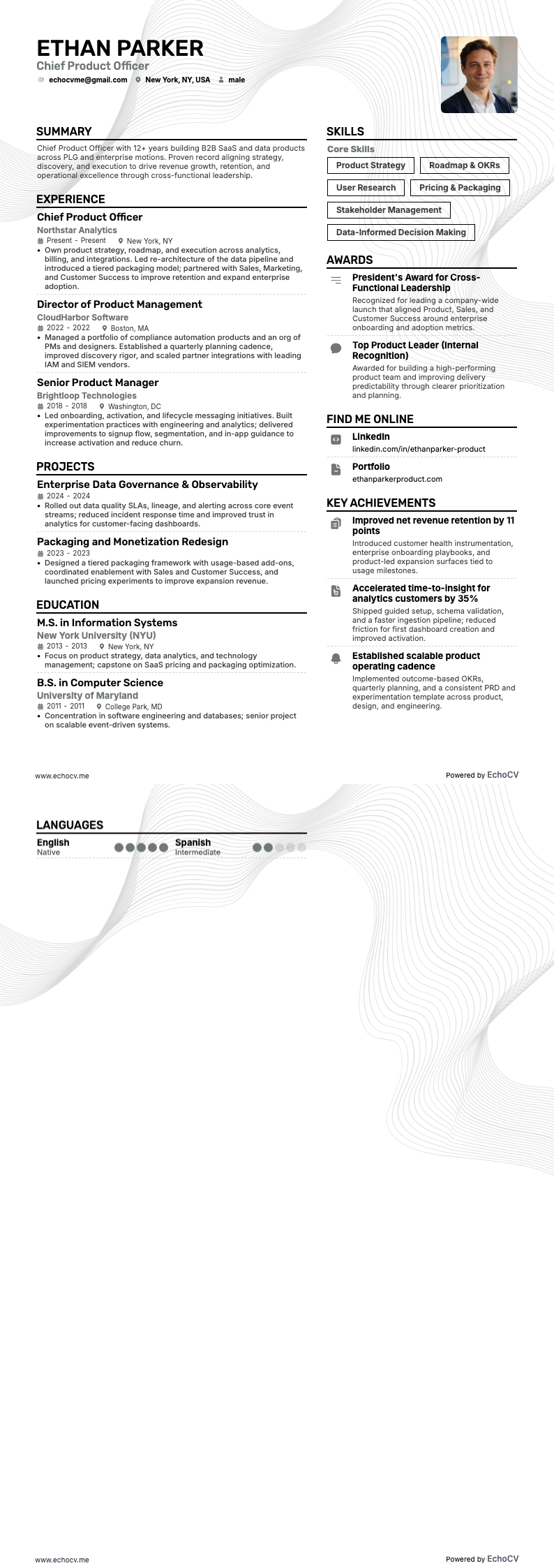 Chief Product Officer example resume