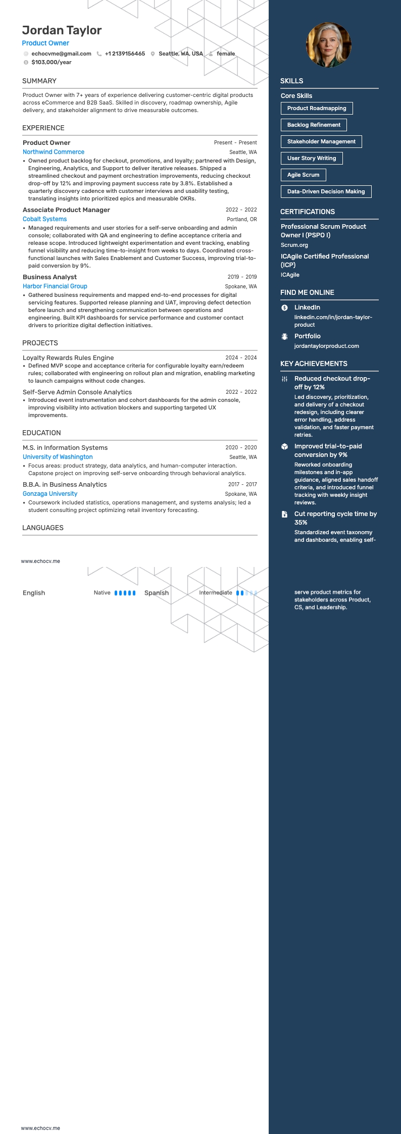 Product Owner example resume