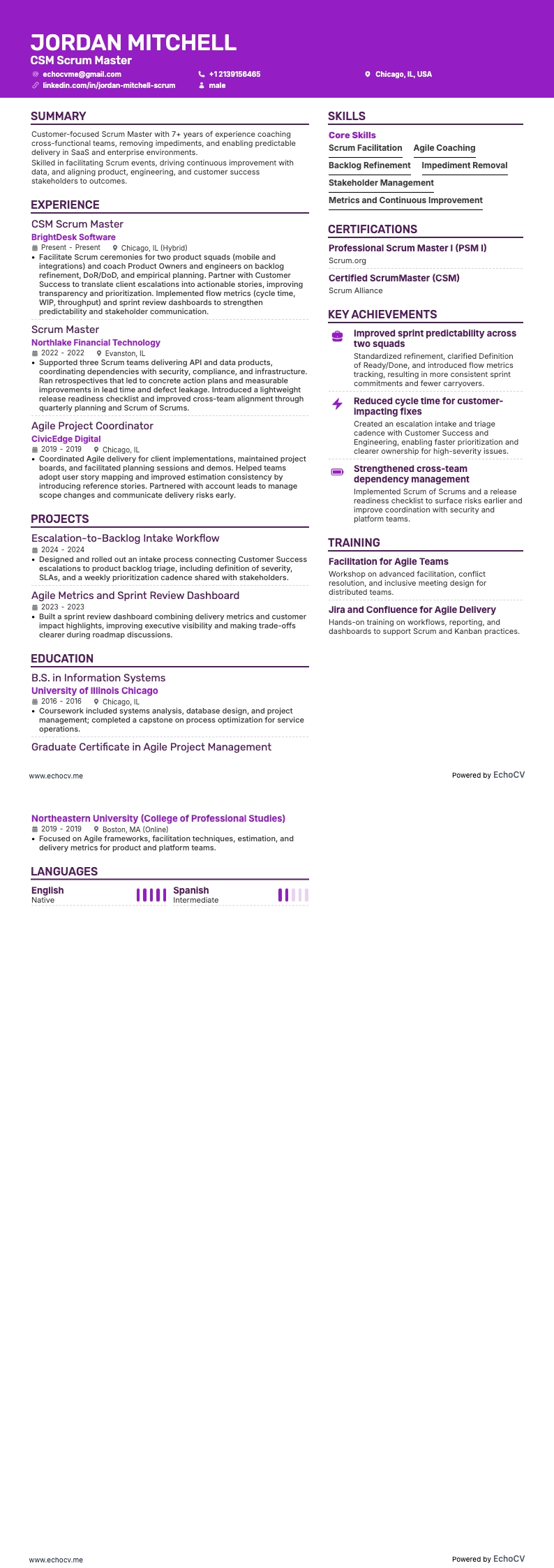 CSM Scrum Master example resume