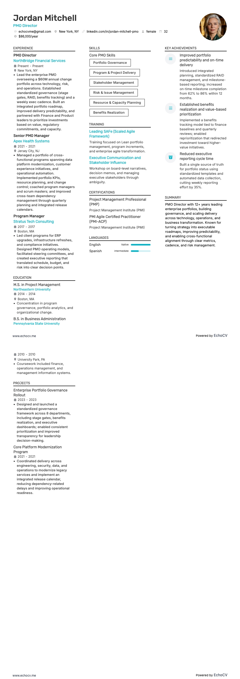 PMO Director example resume