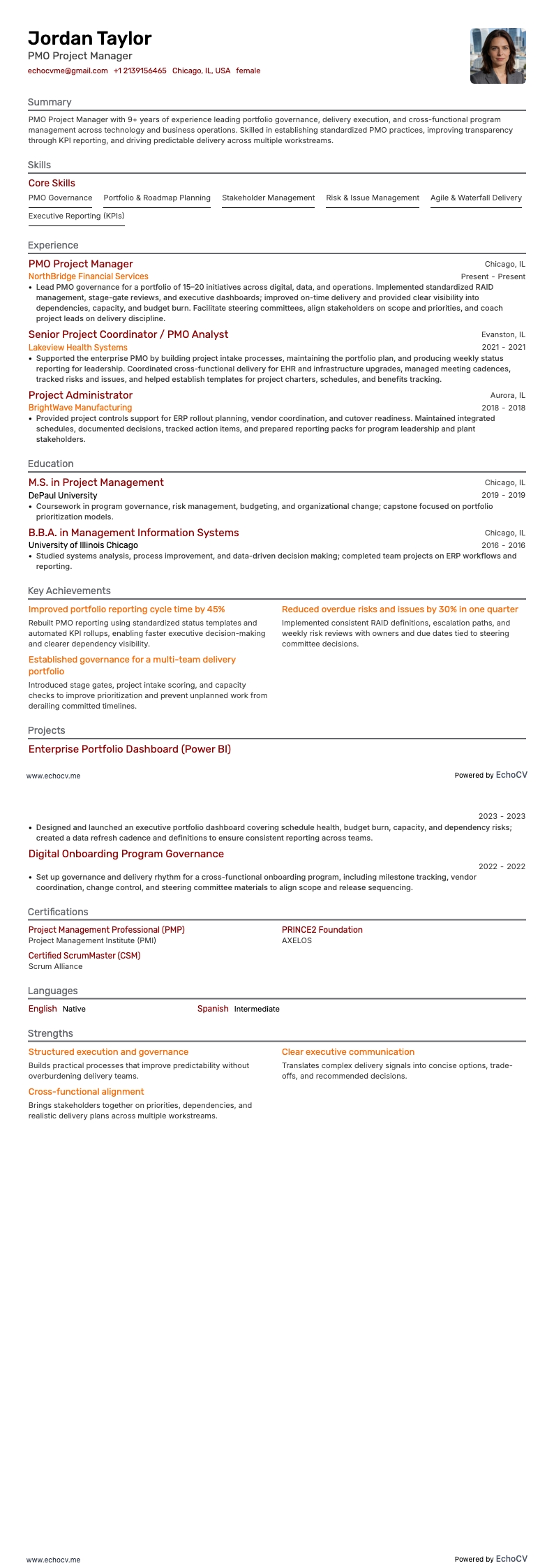 PMO Project Manager example resume