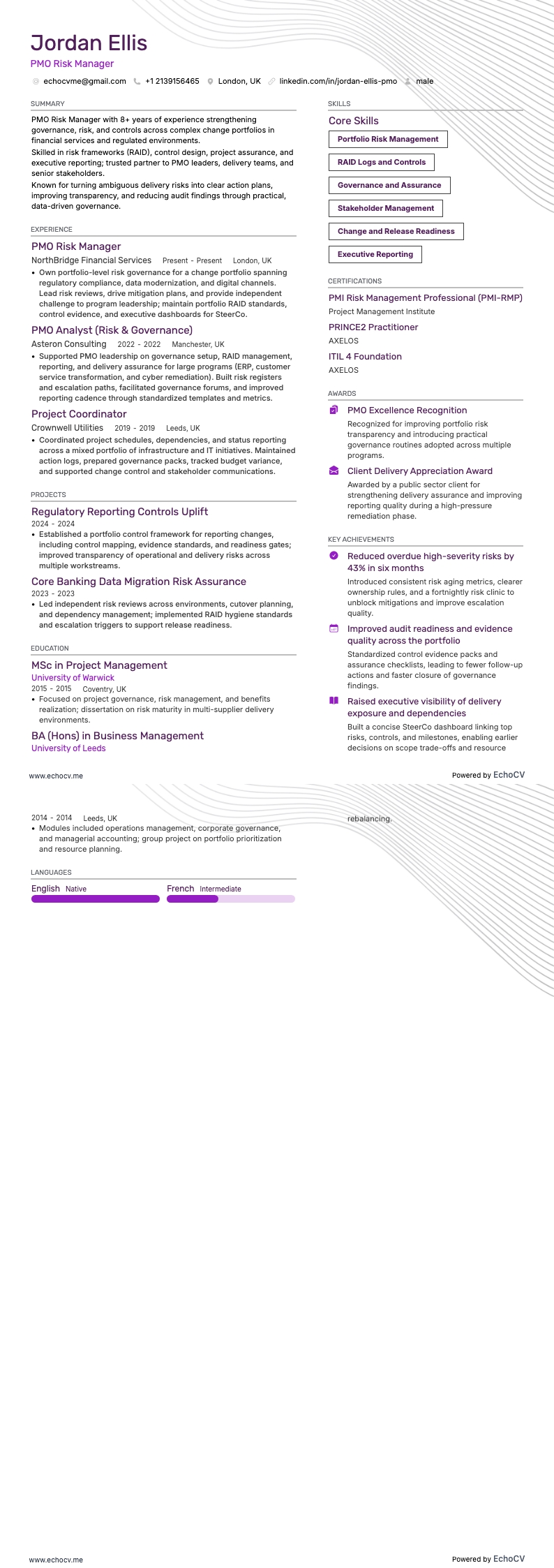 PMO Risk Manager example resume