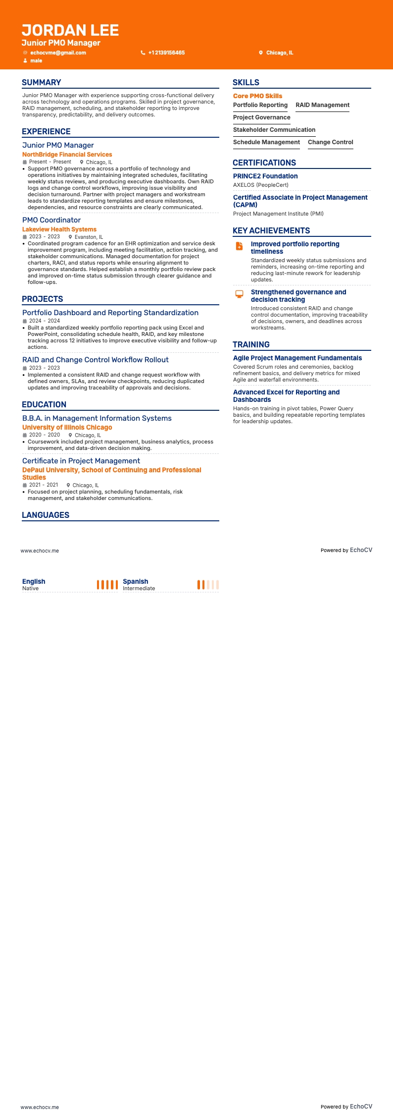 Junior PMO Manager example resume