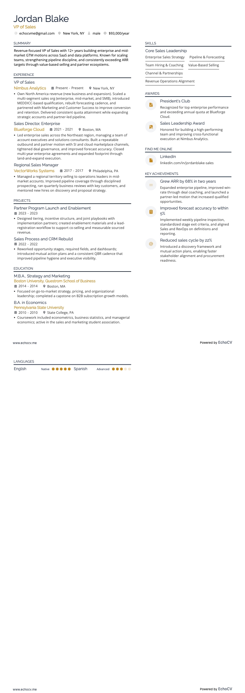VP of Sales example resume