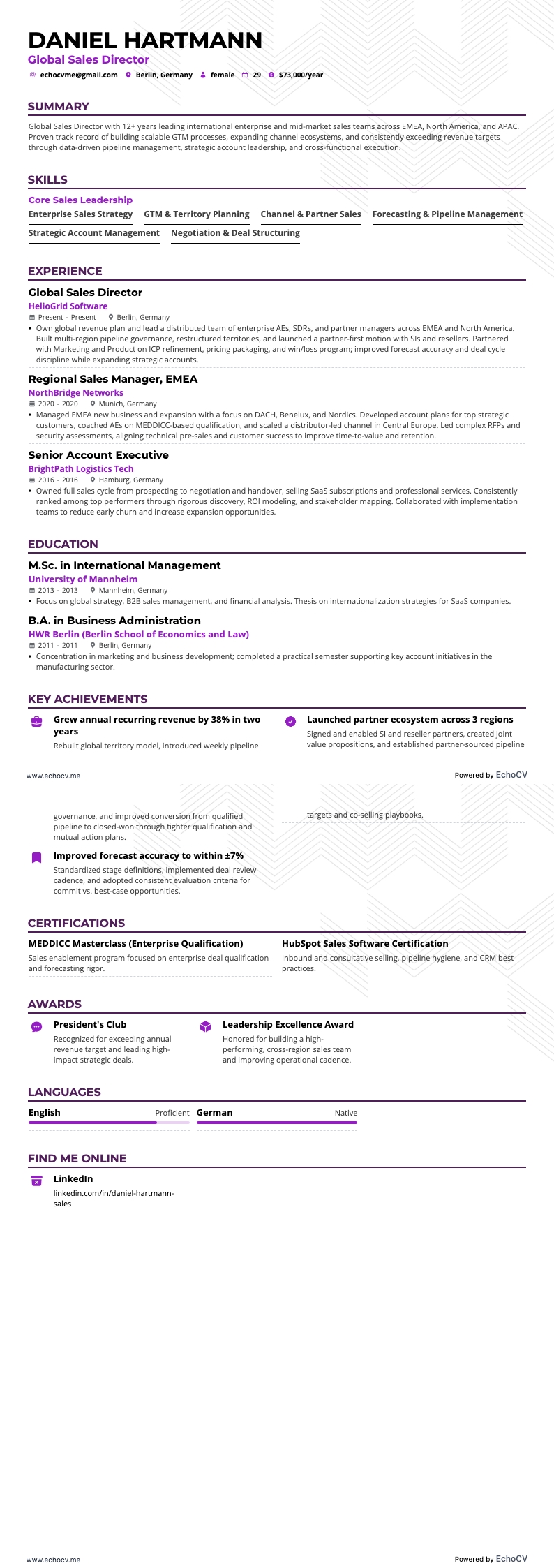 Global Sales Director example resume