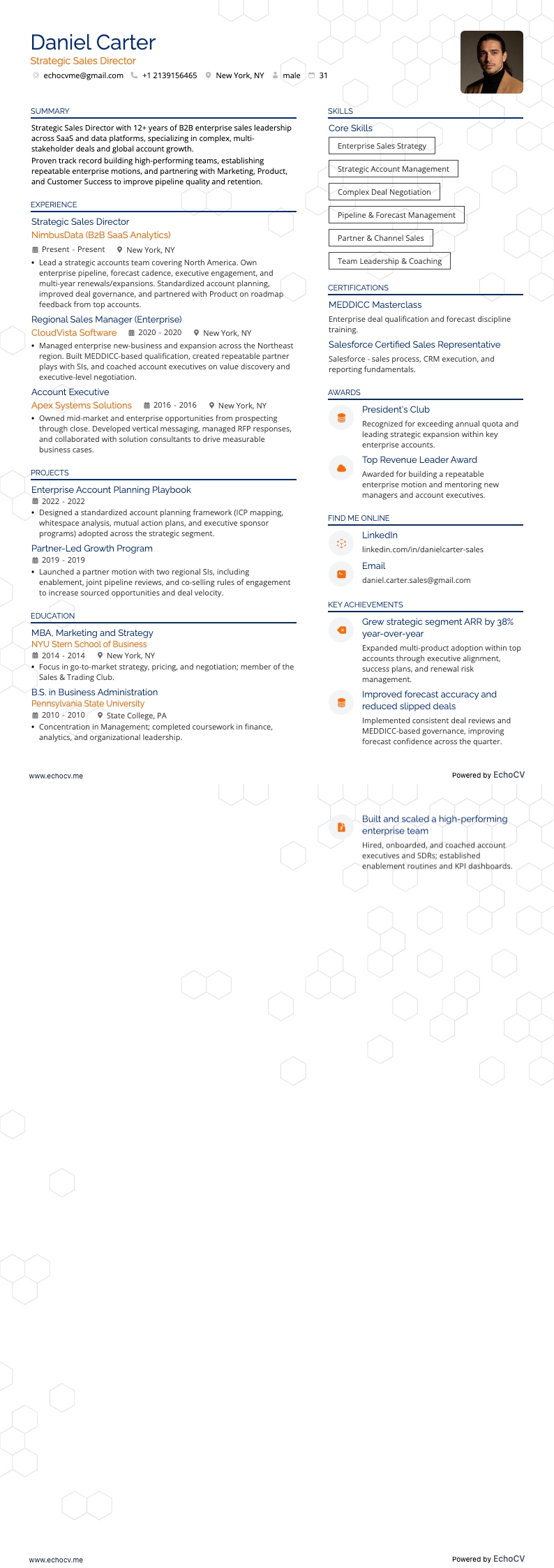 Strategic Sales Director example resume