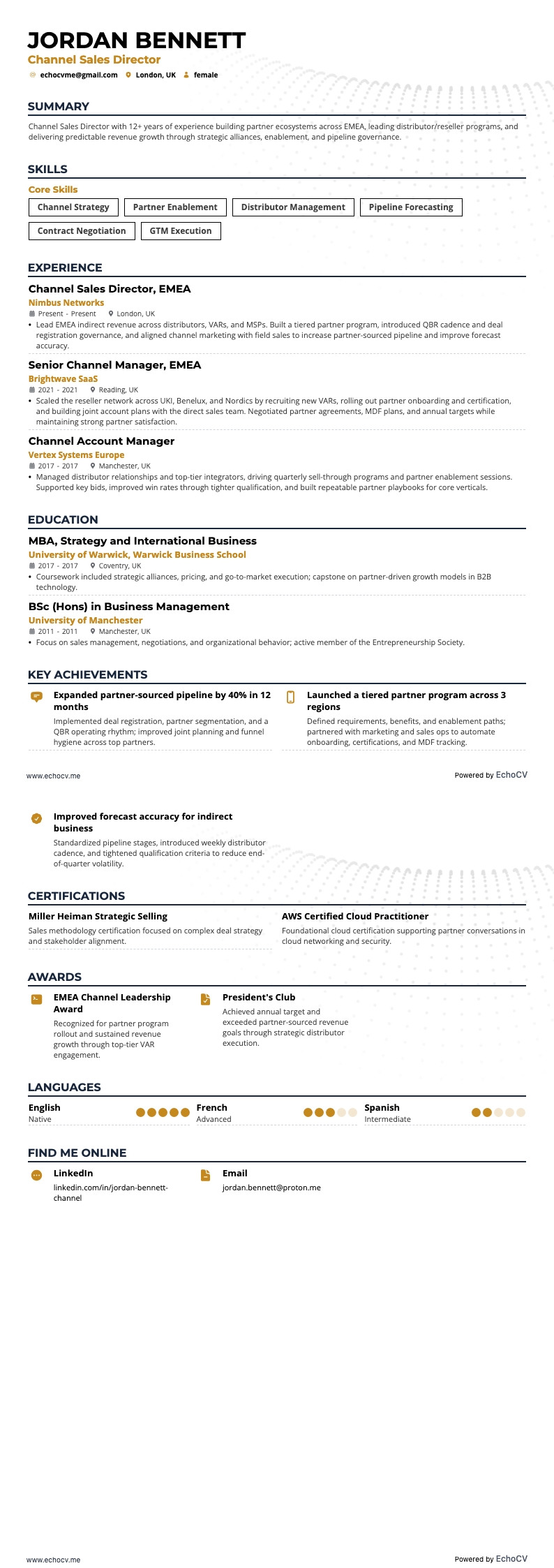 Channel Sales Director example resume