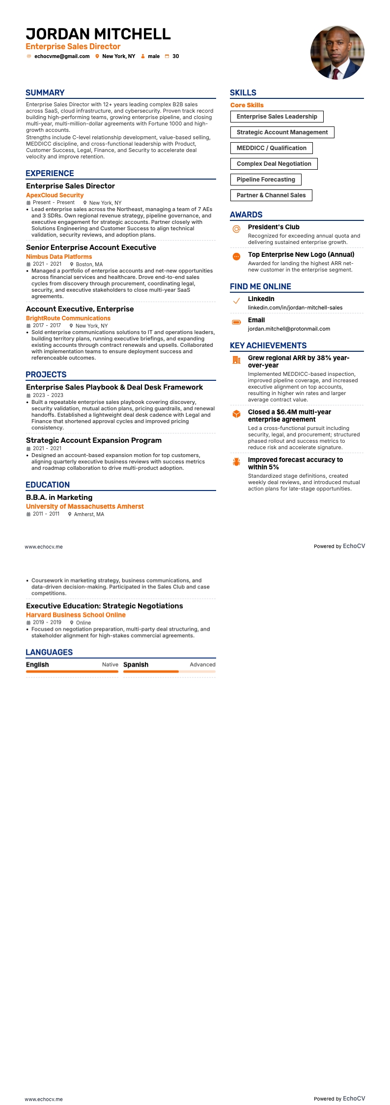 Enterprise Sales Director example resume