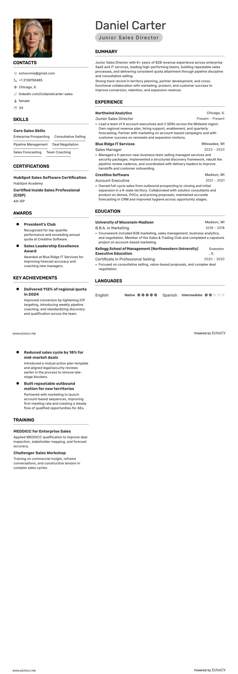 Junior Sales Director example resume
