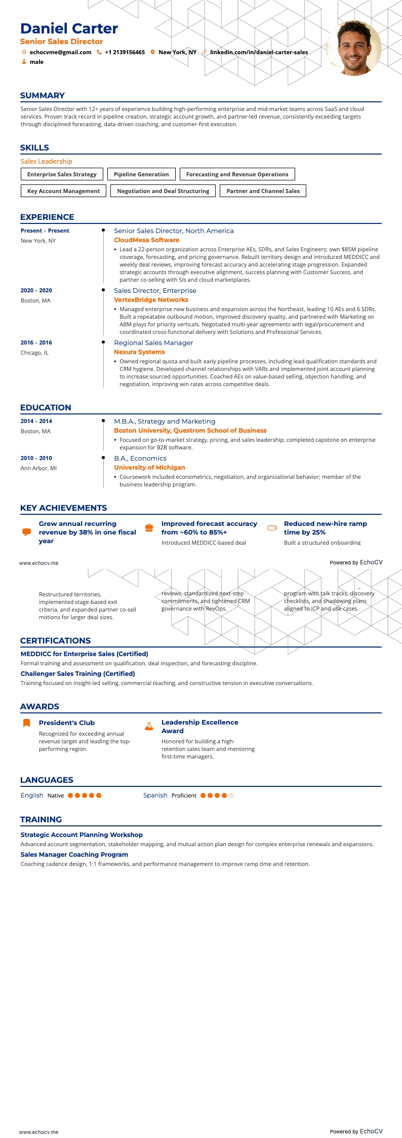 Senior Sales Director example resume