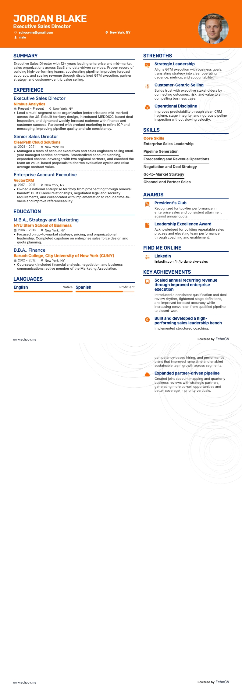 Executive Sales Director example resume