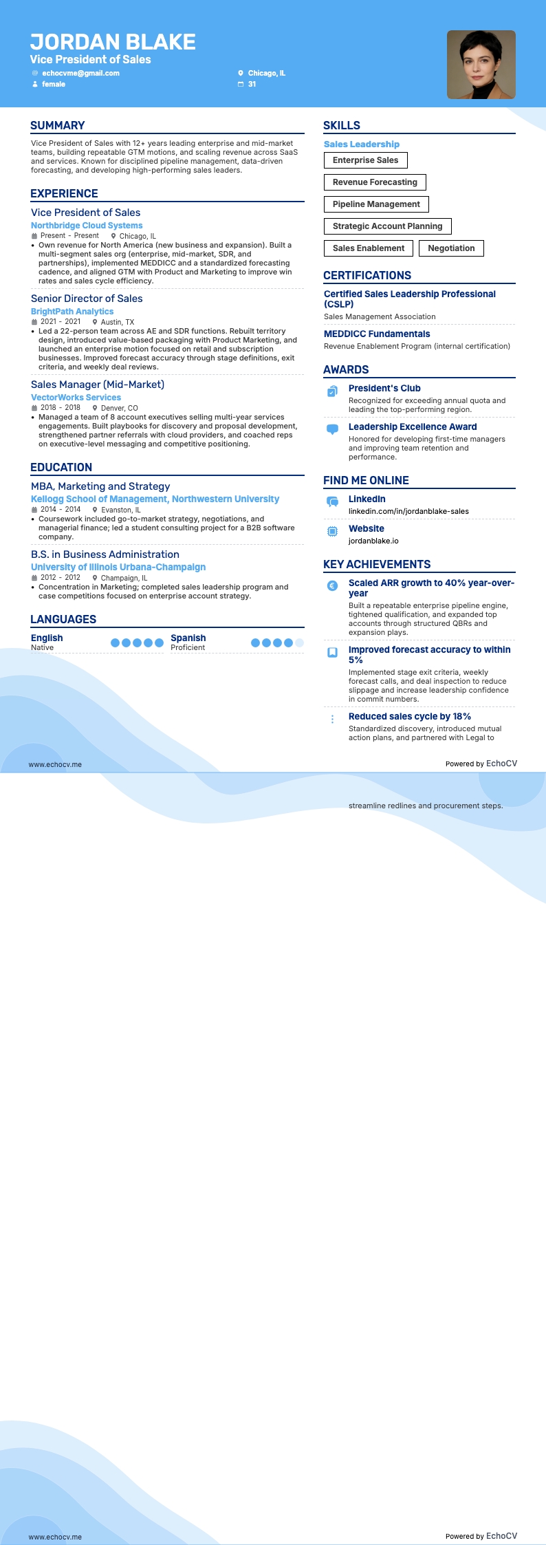 Vice President of Sales full preview