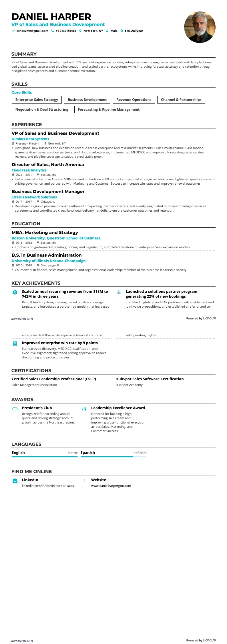 영업 및 사업개발 부문 VP example resume