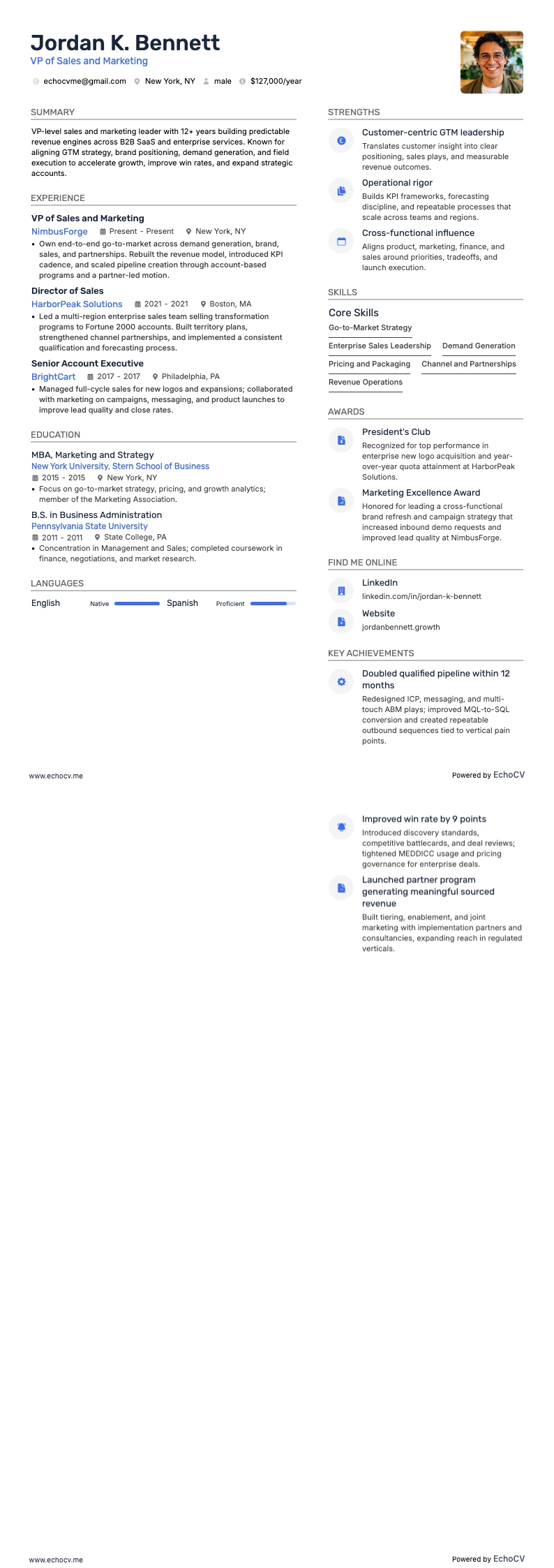 영업 및 마케팅 부문 부사장 example resume