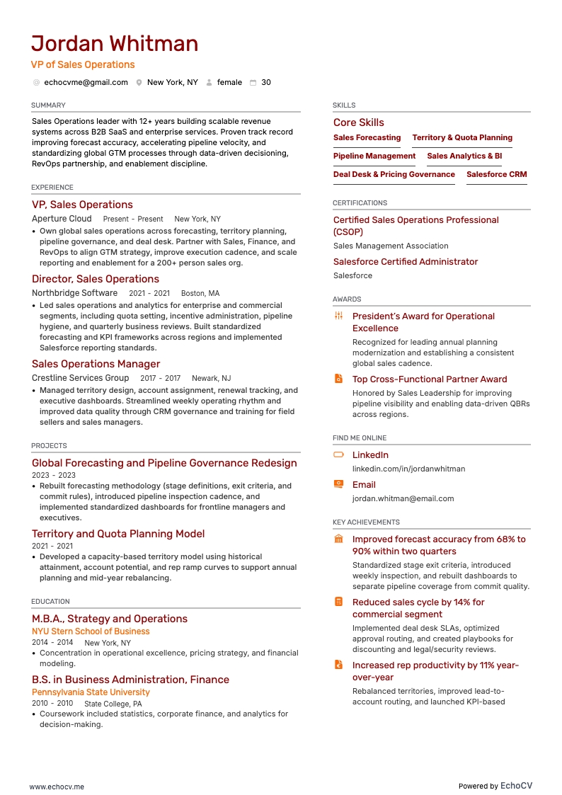 영업 운영 부문 VP example resume