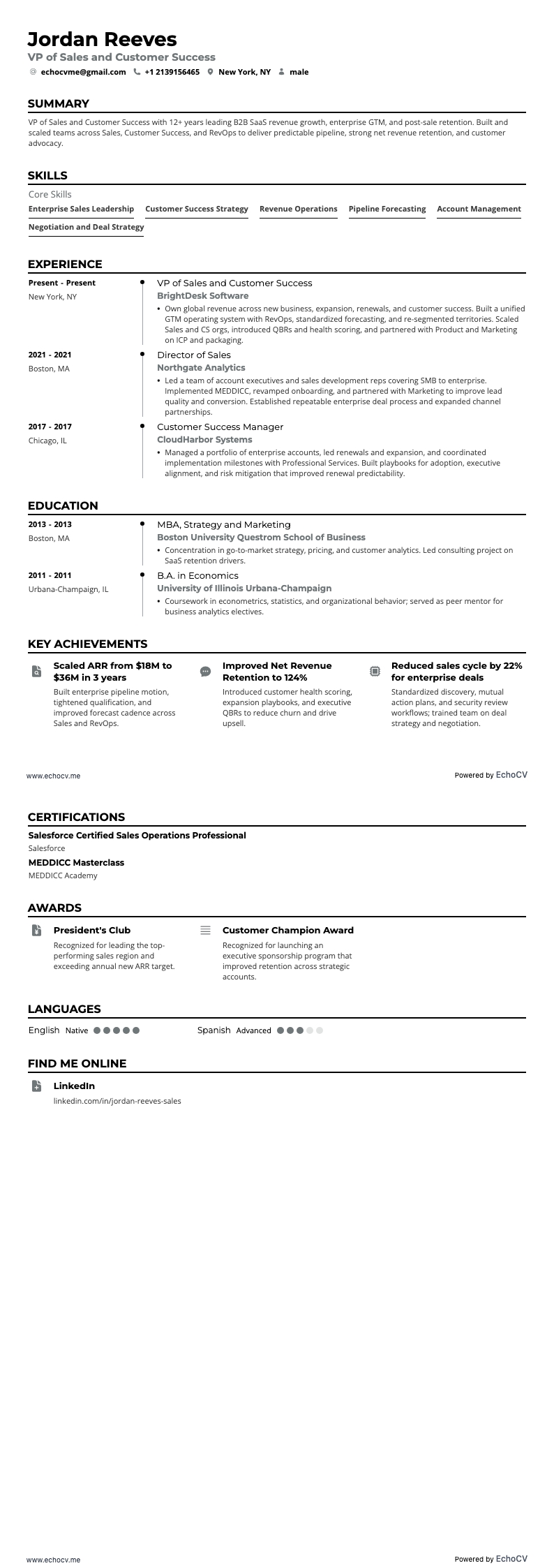 영업 및 고객 성공 부문 VP example resume