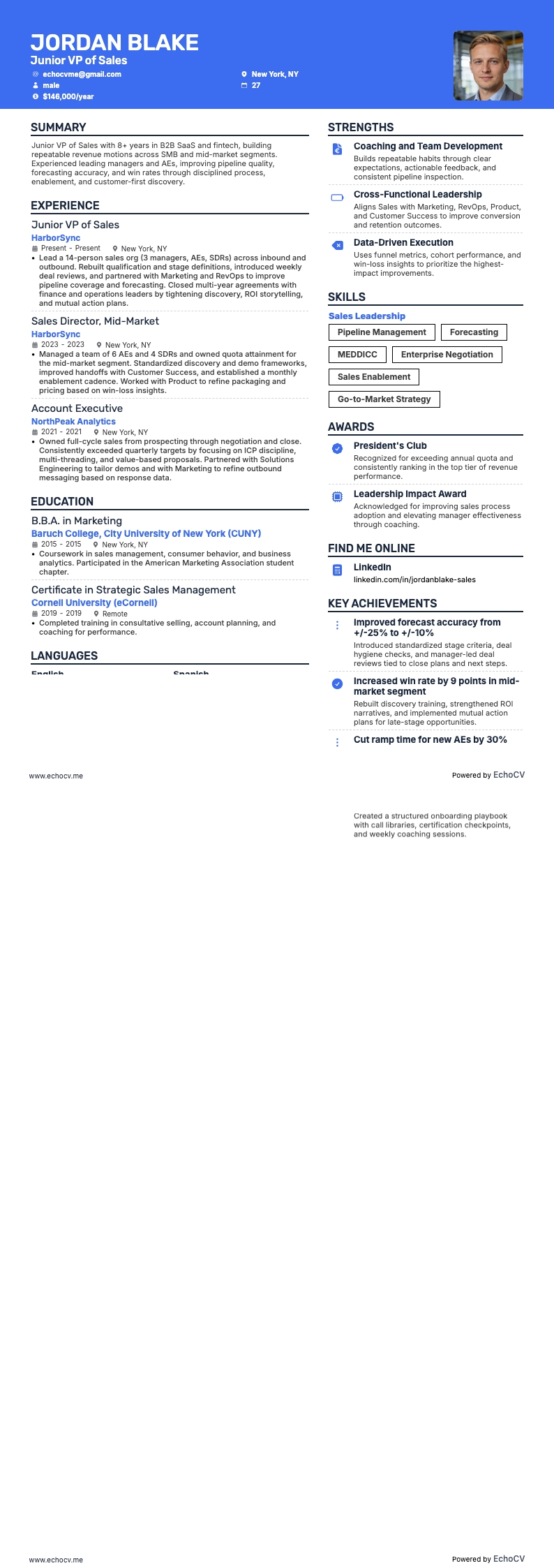 주니어 영업 부사장 example resume