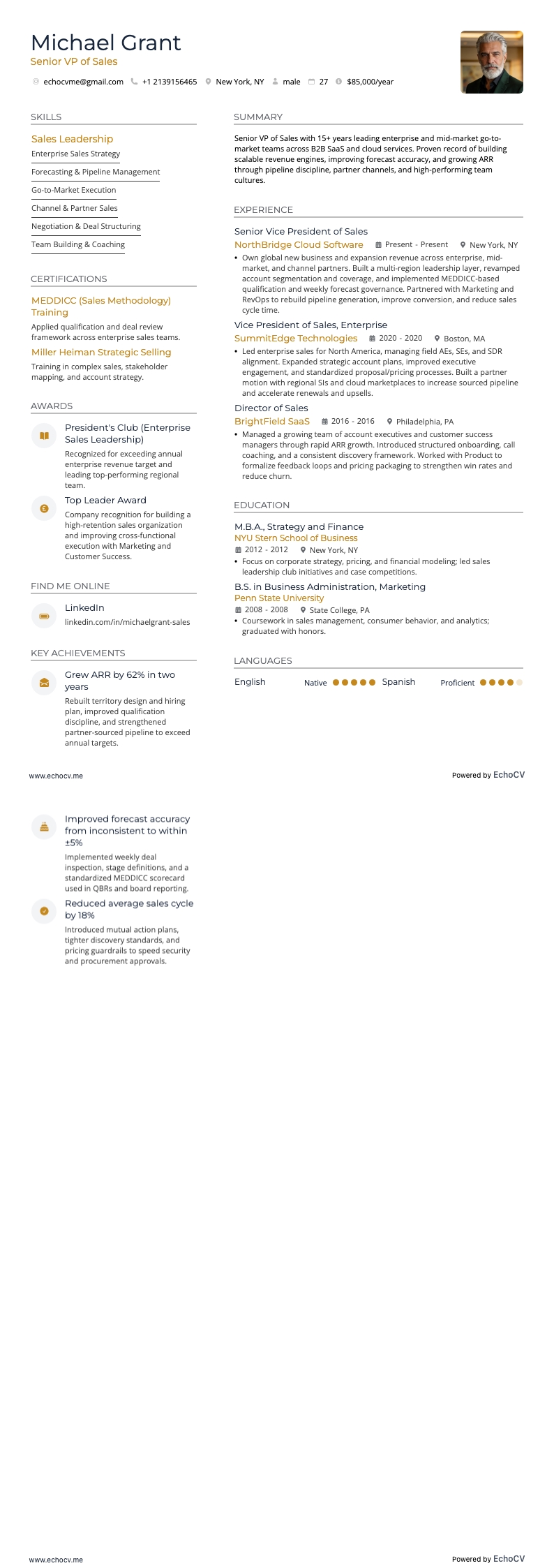 영업 담당 수석 부사장 example resume