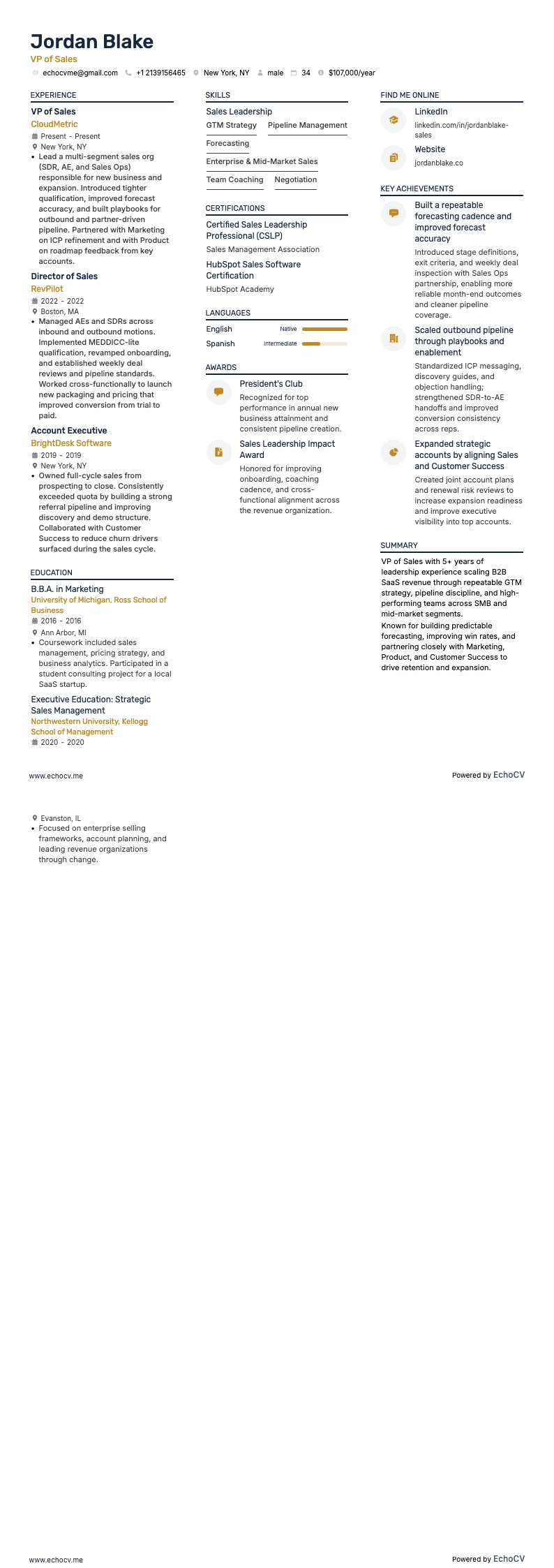 5년 이상 경력의 영업 VP 전체 미리보기