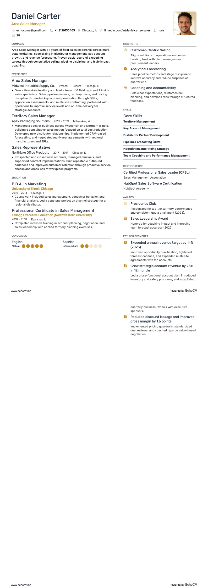 Gerente de ventas regional example resume