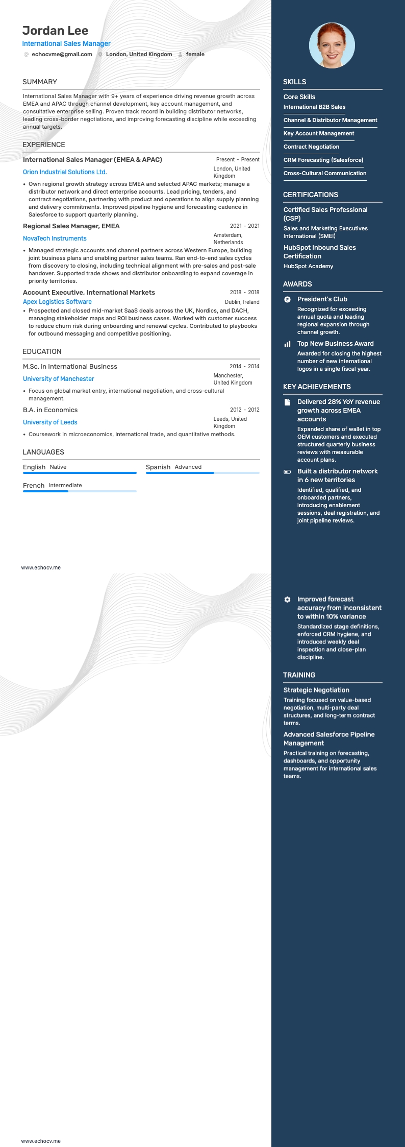 Vertriebsleiter resume example