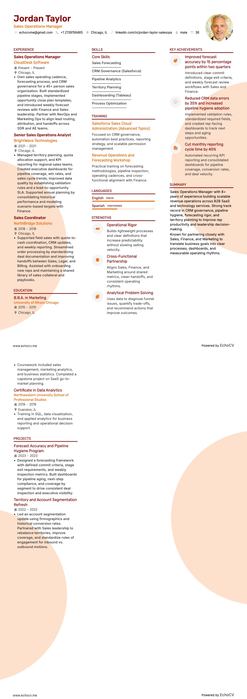 Gerente de Operaciones de Ventas example resume