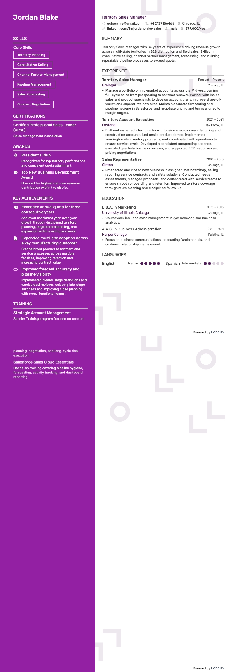 Gerente de Ventas Territoriales example resume