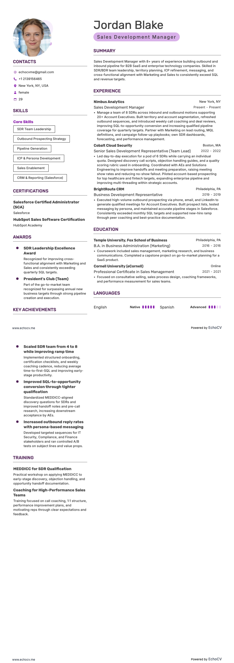 Gerente de desarrollo de ventas example resume